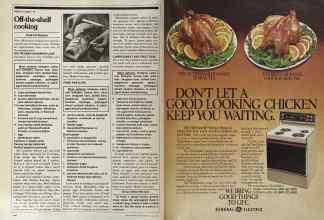 Better Homes & Gardens May 1981 Magazine Article: Page 144