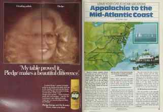 Better Homes & Gardens May 1981 Magazine Article: Page 160