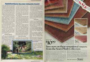Better Homes & Gardens May 1981 Magazine Article: Page 162