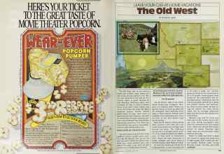 Better Homes & Gardens May 1981 Magazine Article: Page 168