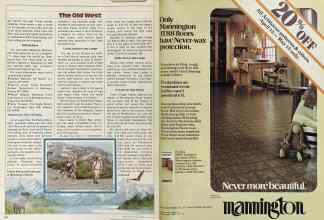 Better Homes & Gardens May 1981 Magazine Article: Page 170