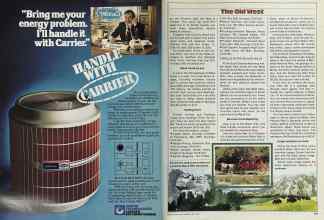 Better Homes & Gardens May 1981 Magazine Article: Page 174