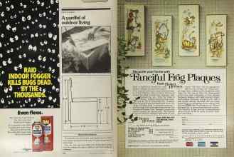 Better Homes & Gardens May 1981 Magazine Article: Page 182