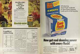 Better Homes & Gardens May 1981 Magazine Article: Page 184