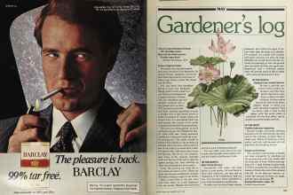 Better Homes & Gardens May 1981 Magazine Article: Page 186