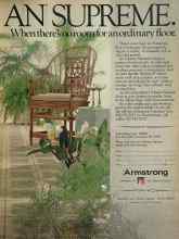 Better Homes & Gardens June 1981 Magazine Article: Page 1