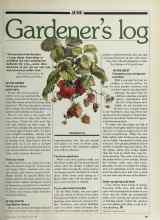 Better Homes & Gardens June 1981 Magazine Article: Gardener's log