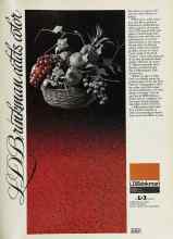 Better Homes & Gardens June 1981 Magazine Article: Page J3