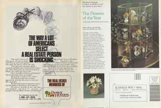 Better Homes & Gardens June 1981 Magazine Article: Page 24