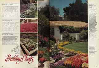 Better Homes & Gardens June 1981 Magazine Article: Page 36