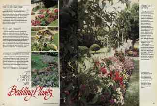 Better Homes & Gardens June 1981 Magazine Article: Page 38