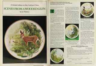 Better Homes & Gardens June 1981 Magazine Article: Page 60