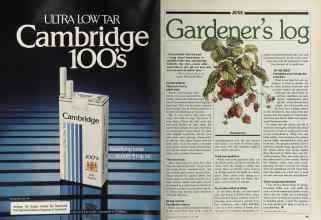 Better Homes & Gardens June 1981 Magazine Article: Page 64