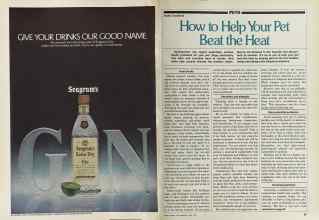 Better Homes & Gardens June 1981 Magazine Article: Page 82