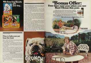 Better Homes & Gardens June 1981 Magazine Article: Page 86