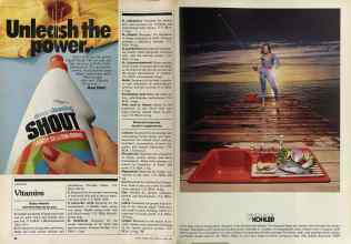 Better Homes & Gardens June 1981 Magazine Article: Page 96