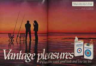 Better Homes & Gardens June 1981 Magazine Article: Page 102