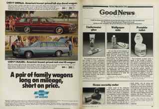 Better Homes & Gardens June 1981 Magazine Article: Page 106