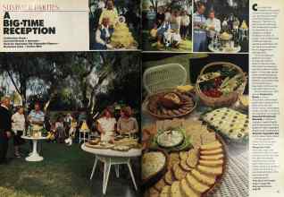 Better Homes & Gardens June 1981 Magazine Article: Page 130