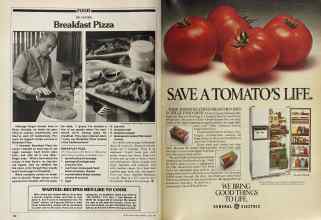 Better Homes & Gardens June 1981 Magazine Article: Page 164