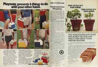 Better Homes & Gardens June 1981 Magazine Article: Page 168