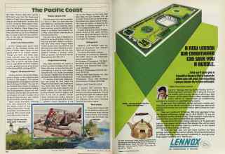 Better Homes & Gardens June 1981 Magazine Article: Page 174