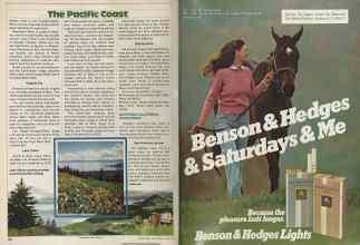 Better Homes & Gardens June 1981 Magazine Article: Page 176