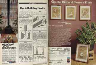 Better Homes & Gardens June 1981 Magazine Article: Page 182