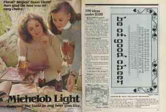 Better Homes & Gardens July 1981 Magazine Article: Page 42