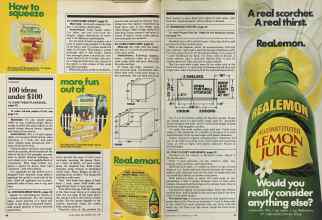 Better Homes & Gardens July 1981 Magazine Article: Page 46