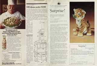 Better Homes & Gardens July 1981 Magazine Article: Page 54