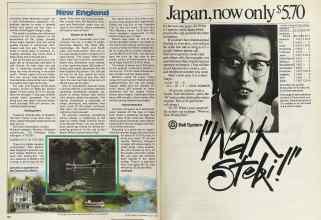 Better Homes & Gardens July 1981 Magazine Article: Page 132