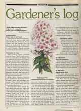 Better Homes & Gardens August 1981 Magazine Article: Gardener's log