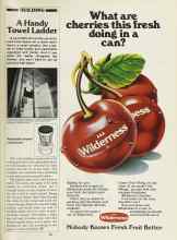 Better Homes & Gardens August 1981 Magazine Article: A Handy Towel Ladder