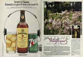 Better Homes & Gardens August 1981 Magazine Article: Page 36