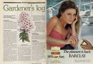 Better Homes & Gardens August 1981 Magazine Article: Page 70