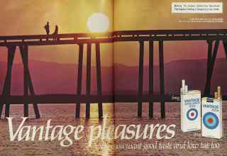 Better Homes & Gardens August 1981 Magazine Article: Page 84