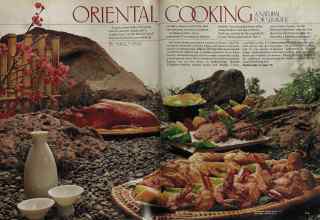 Better Homes & Gardens August 1981 Magazine Article: Page 102