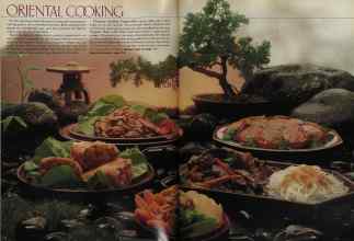 Better Homes & Gardens August 1981 Magazine Article: Page 106