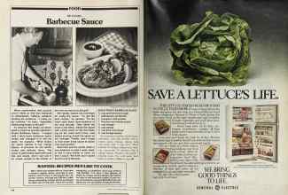 Better Homes & Gardens August 1981 Magazine Article: Page 140