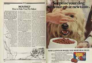 Better Homes & Gardens August 1981 Magazine Article: Page 164