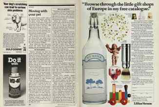 Better Homes & Gardens August 1981 Magazine Article: Page 166