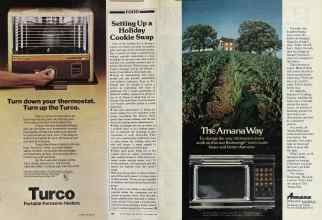 Better Homes & Gardens November 1981 Magazine Article: Page 86