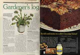 Better Homes & Gardens November 1981 Magazine Article: Page 94