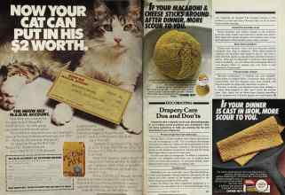 Better Homes & Gardens November 1981 Magazine Article: Page 102