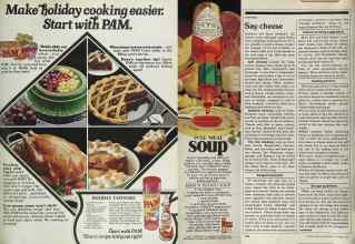 Better Homes & Gardens November 1981 Magazine Article: Page 171