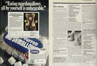 Better Homes & Gardens November 1981 Magazine Article: Page 173