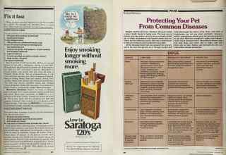 Better Homes & Gardens November 1981 Magazine Article: Page 203