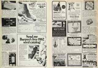 Better Homes & Gardens November 1981 Magazine Article: Page 237