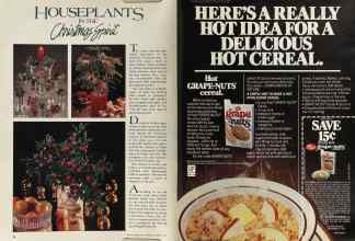Better Homes & Gardens December 1981 Magazine Article: Page 16